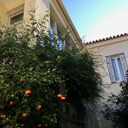 Authentic Elegance At Acropolis