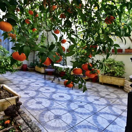 Authentic Elegance At Acropolis Apartment