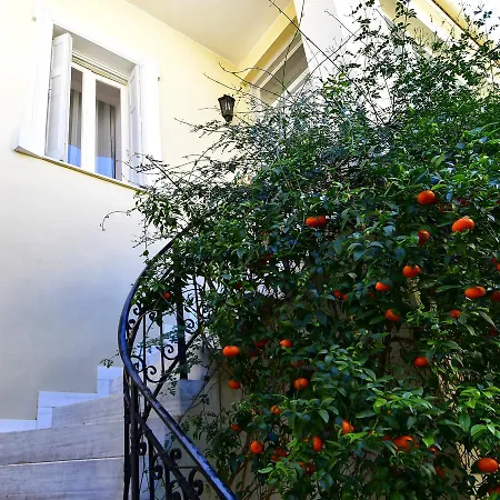 Apartment Authentic Elegance At Acropolis